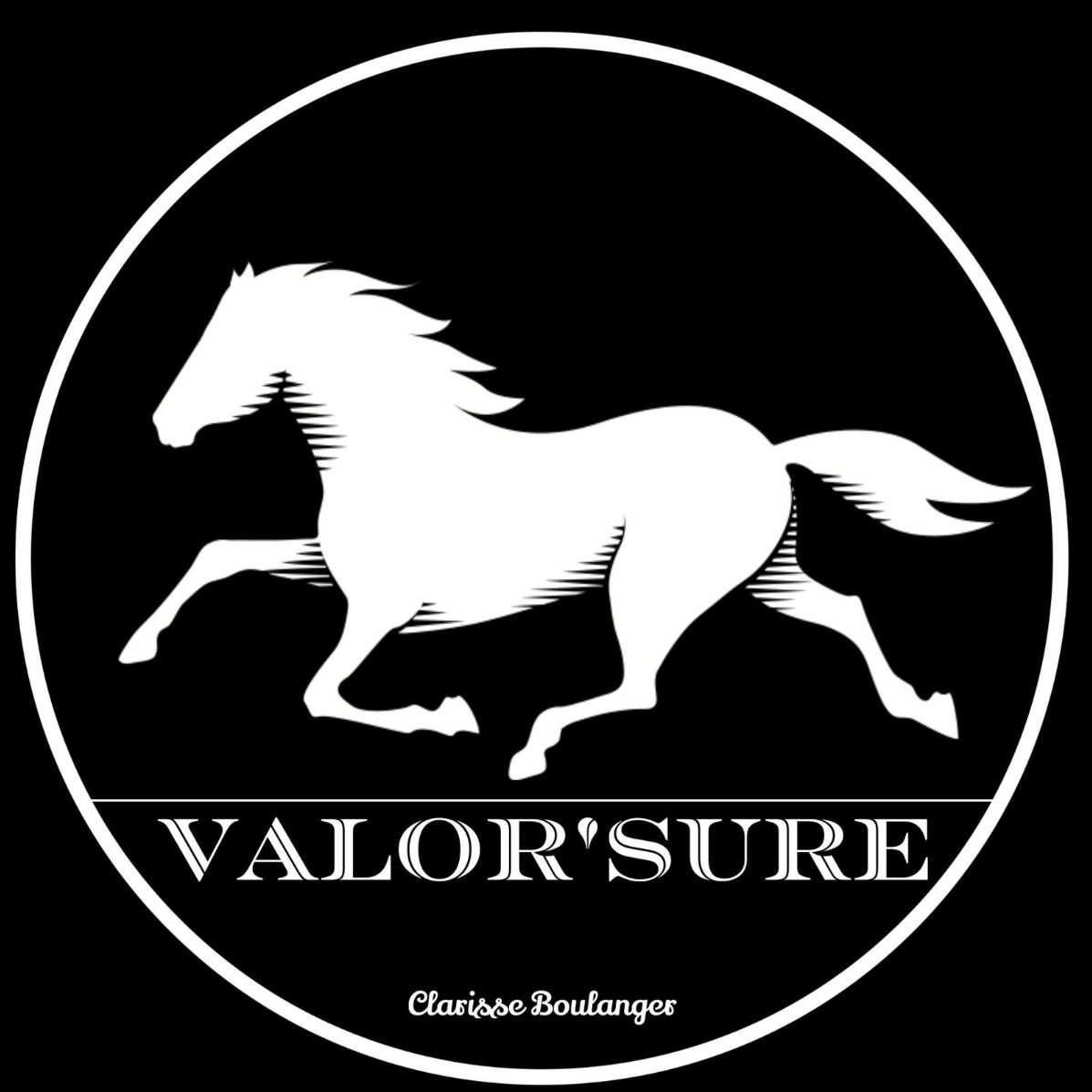 Photo de VALOR’SURE