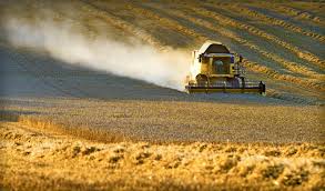 Photo de GAYRAUD QUENTIN