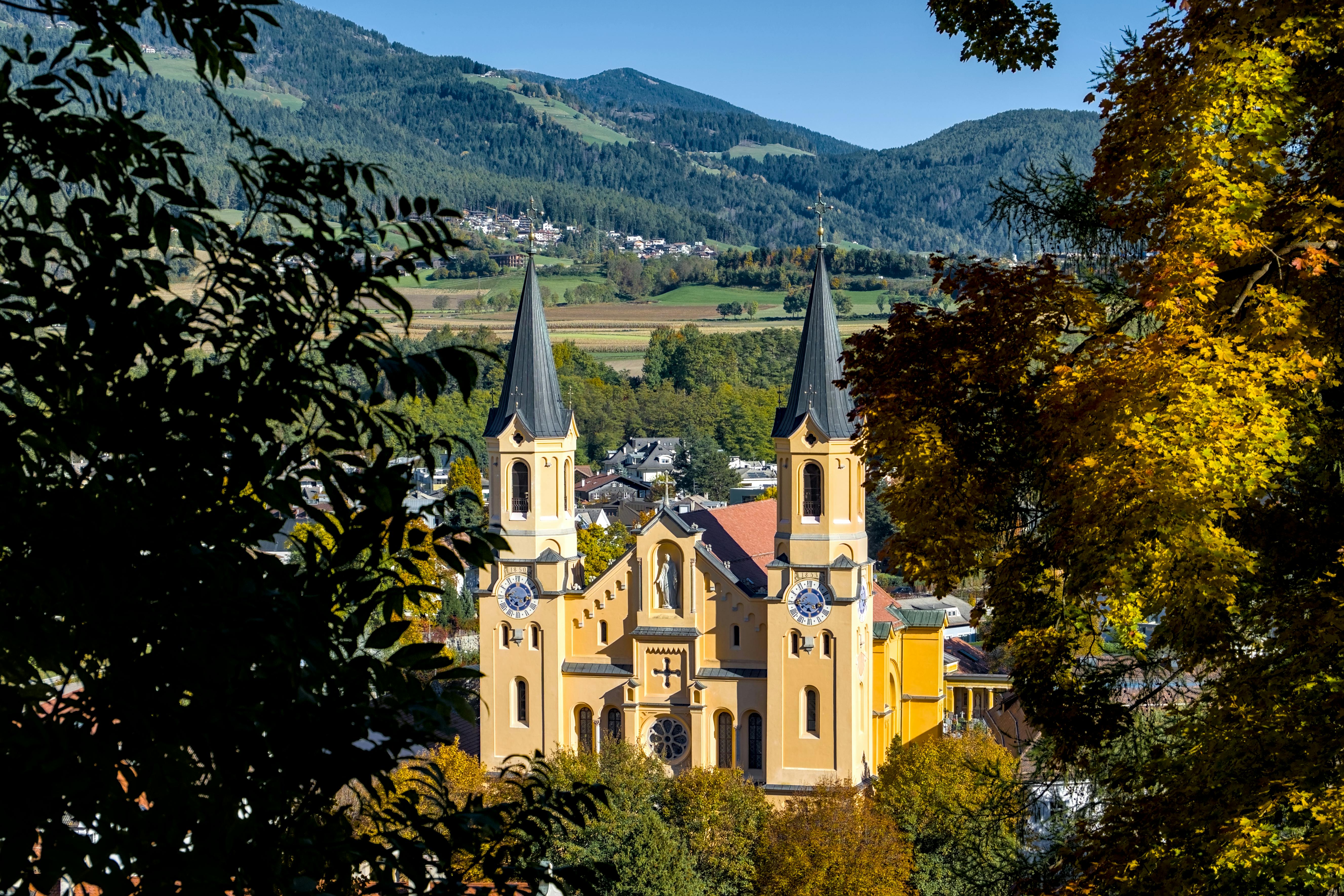 Photo de LA POMME PROVENCALE